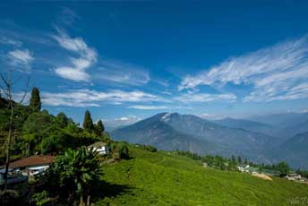 Gangtok, Pelling & Darjeeling