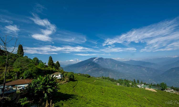 Pelling